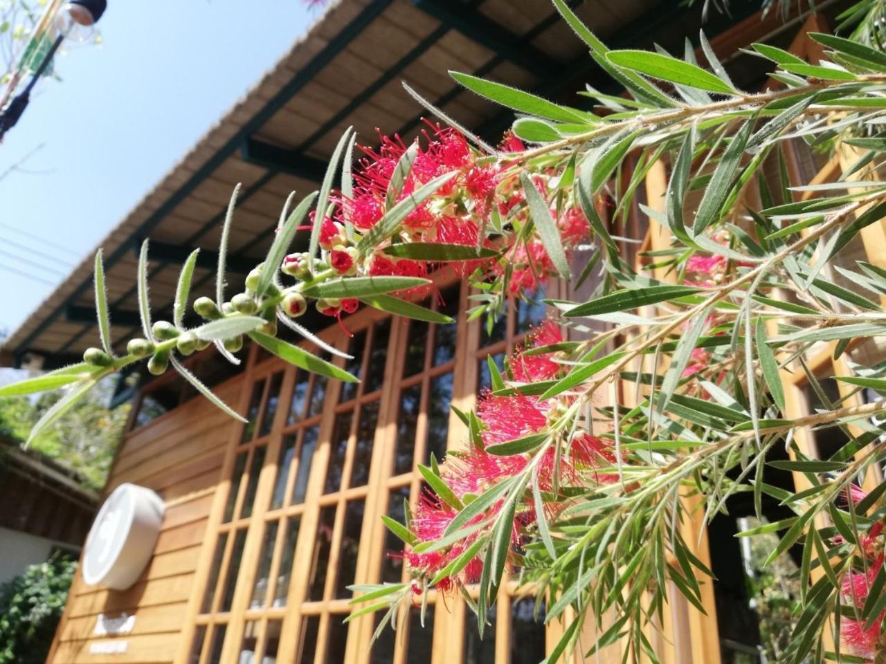 Paiyannoi Guesthome เชียงใหม่ ภายนอก รูปภาพ